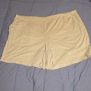 Only Necessities Women's Pale Pistachio Athletic Shorts